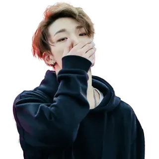 🤭 telegram sticker