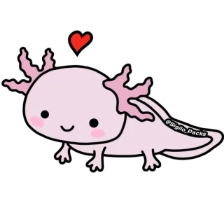 ❤️ ajolote, rosa, corazón, lindo, animal whatsapp sticker