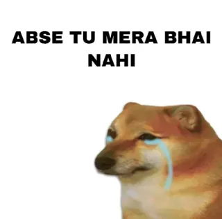 😭 cheems ABSE TU MERA BHAI NAHI 犬, 悲しい, 泣く, ミーム, ヒンディー語, 兄弟 telegram sticker