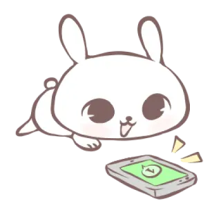 🎀 dễ thương, thỏ, thỏ, hoạt hình, điện thoại, WhatsApp telegram sticker