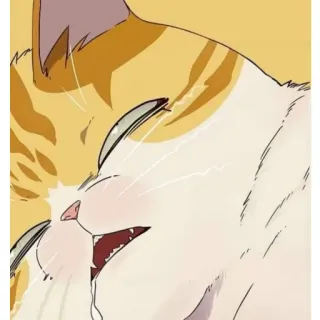 😪 고양이, 울음, 슬픈, 애니메이션, 주황색, 흰색 telegram sticker