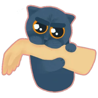 😡 gatto, triste, carino, animale, cartone animato, illustrazione telegram sticker