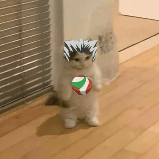 Standing Cat Anime @Icarusfalls telegram stickers