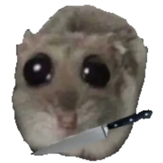 🔪 mouse mouse, knife, funny, meme, cute, staring, threatening telegram sticker