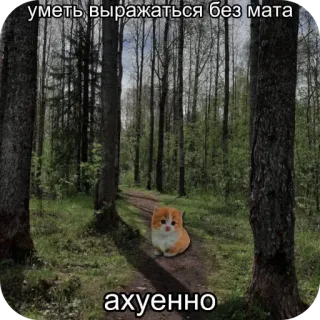 🥰 уметь выражаться без мата
ахуенно cat, forest, meme, russian, animals, humor whatsapp sticker