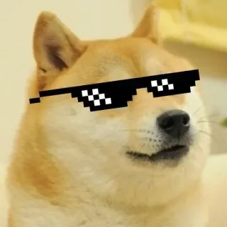 😎 Doge doge, meme, hond, zonnebril, gepixeld, cool telegram sticker