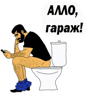 😡 АЛЛО, гараж! toilet, man, telefoon, zittend, badkamer, slang telegram sticker