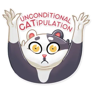 😵 UNCONDITIONAL CATIPULATION chat, dessin animé, drôle, autocollant, catipulation, animal whatsapp sticker