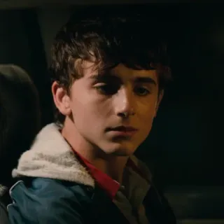 😕 Timothée Chalamet актер, знаменитость, портрет whatsapp sticker