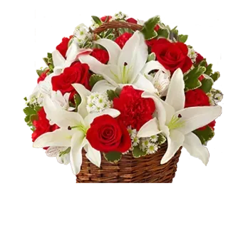 🌹 ดอกไม้, กุหลาบ, ดอกลิลลี่, การจัดดอกไม้, ช่อดอกไม้, ตะกร้า telegram sticker