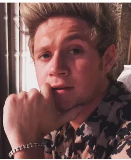Niall horan♥ telegram stickers