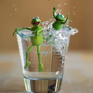 😆 Kermit 커밋, 개구리, 머펫, 물, 유리, 장난감 telegram sticker