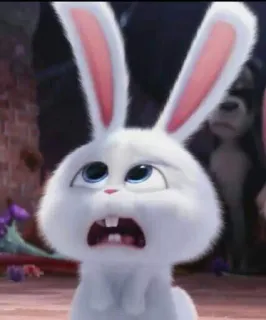 🐰 Snowball The Secret Life of Pets conejo, blanco, lindo, animado, película, personaje whatsapp sticker