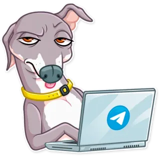 🤨 สุนัข, แล็ปท็อป, คอมพิวเตอร์, โทรเลข, สัตว์, การ์ตูน whatsapp sticker