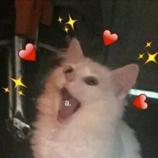 😾 a. 猫, ハート, かわいい, キラキラ, 動物, ミーム telegram sticker