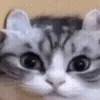 👀