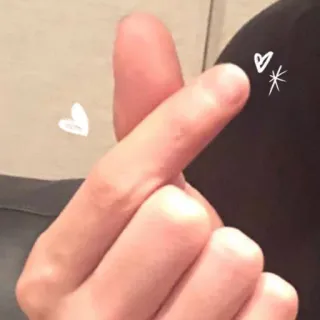 🐨 cuore con le dita, gesto della mano, segno d'amore, k-pop, carino, kawaii whatsapp sticker