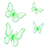🦋