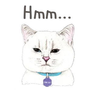 🤔 고양이, 스티커, 동물, 애완동물, 흰 고양이 telegram sticker