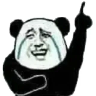🤣 Panda, Meme, Lustig, Weinend, Zeigen telegram sticker