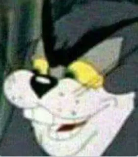 😼 Tom Cat Tom and Jerry кот, мультфильм, смешной, животное, мем whatsapp sticker