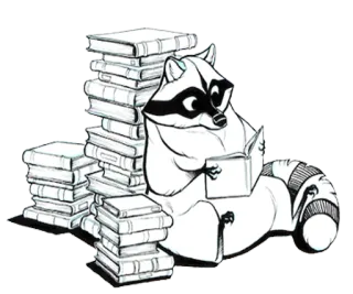 📕 raccoon, books, reading, animal, literacy, cartoon, education telegram sticker