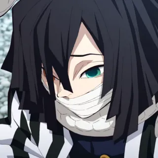 🗡 Obanai Iguro Demon Slayer Anime, Manga, Serpent, Hashira, Démon whatsapp sticker