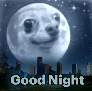 🌚 Good Night good night, moon, night, stars, city telegram sticker