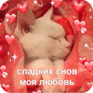🙅‍♀ сладких снов моя любовь telegram sticker