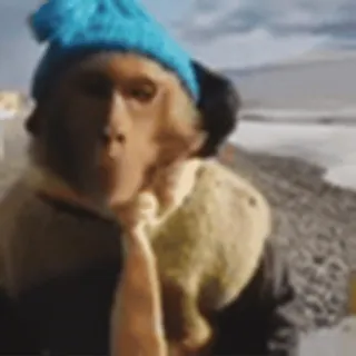 🤩