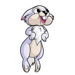 🐰 Desenho animado, Animal, Esquilo, Fofo, Adesivo whatsapp sticker