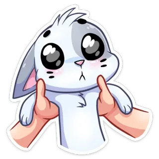 🙂 królik, słodki, zwierzę, kreskówka, kawaii whatsapp sticker