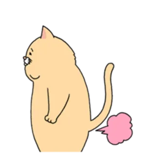 💨 cat, fart, pink, cartoon, animal telegram sticker