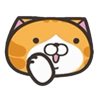 🐱