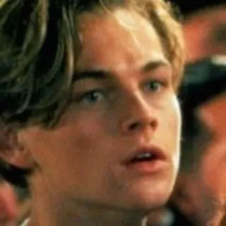 😐 Leonardo DiCaprio aktor, celebryta, portret, młody, Leonardo DiCaprio telegram sticker