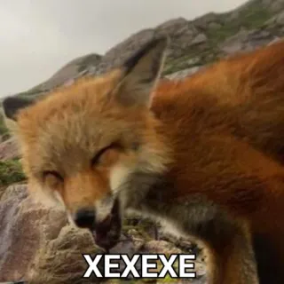 🙃 XEXEXE raposa, animal, mamífero, vida selvagem telegram sticker