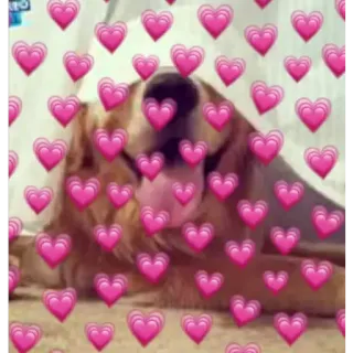 😀 hond, harten, liefde, schattig, dier telegram sticker