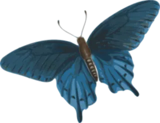 🐝 butterfly, blue, insect, nature, animal whatsapp sticker