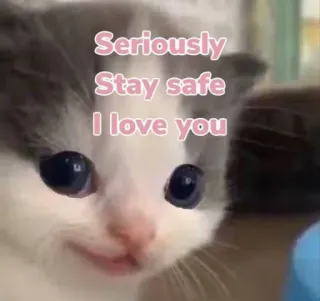 Kucing berbagai Rasa by: @warganegaramars whatsapp stickers