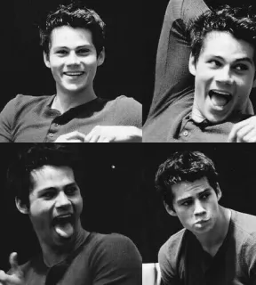 🤣 Dylan O'Brien actor, teen wolf, portrait, black and white, male, face telegram sticker