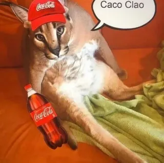 🍿 Caco Clao Katze, Cola, Getränk, Coca Cola, Floppa whatsapp sticker