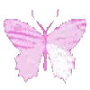 🦋