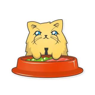 😺 kucing, hewan peliharaan, hewan, makanan, anak kucing, domestik, imut whatsapp sticker