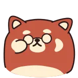 🧐 Roter Panda, Brille, Süß, Tier, Cartoon telegram sticker