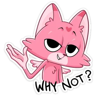 🤷‍♀️ WHY NOT? 만화, 고양이, 분홍색, 질문, 왜 안돼, 태도 telegram sticker