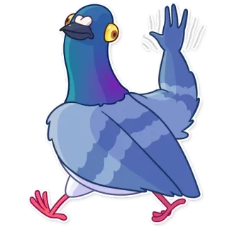👋 นกพิราบ, นก, สัตว์, การ์ตูน telegram sticker
