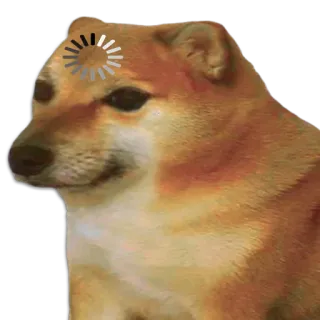 🐶 Doge หมา, มีม, กำลังโหลด, Cheems, สัตว์ whatsapp sticker