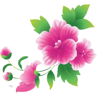 🌸 flor, floral, rosa, flor, planta, natureza, folhas telegram sticker