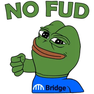 💥 Pepe the Frog NO FUD meme, Pepe, FUD, crypto, internet culture, frog telegram sticker