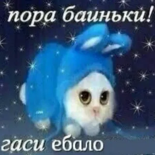 😴 пора баиньки!
гаси ебало coniglio, carino, animale, sonno, russo, offensivo telegram sticker